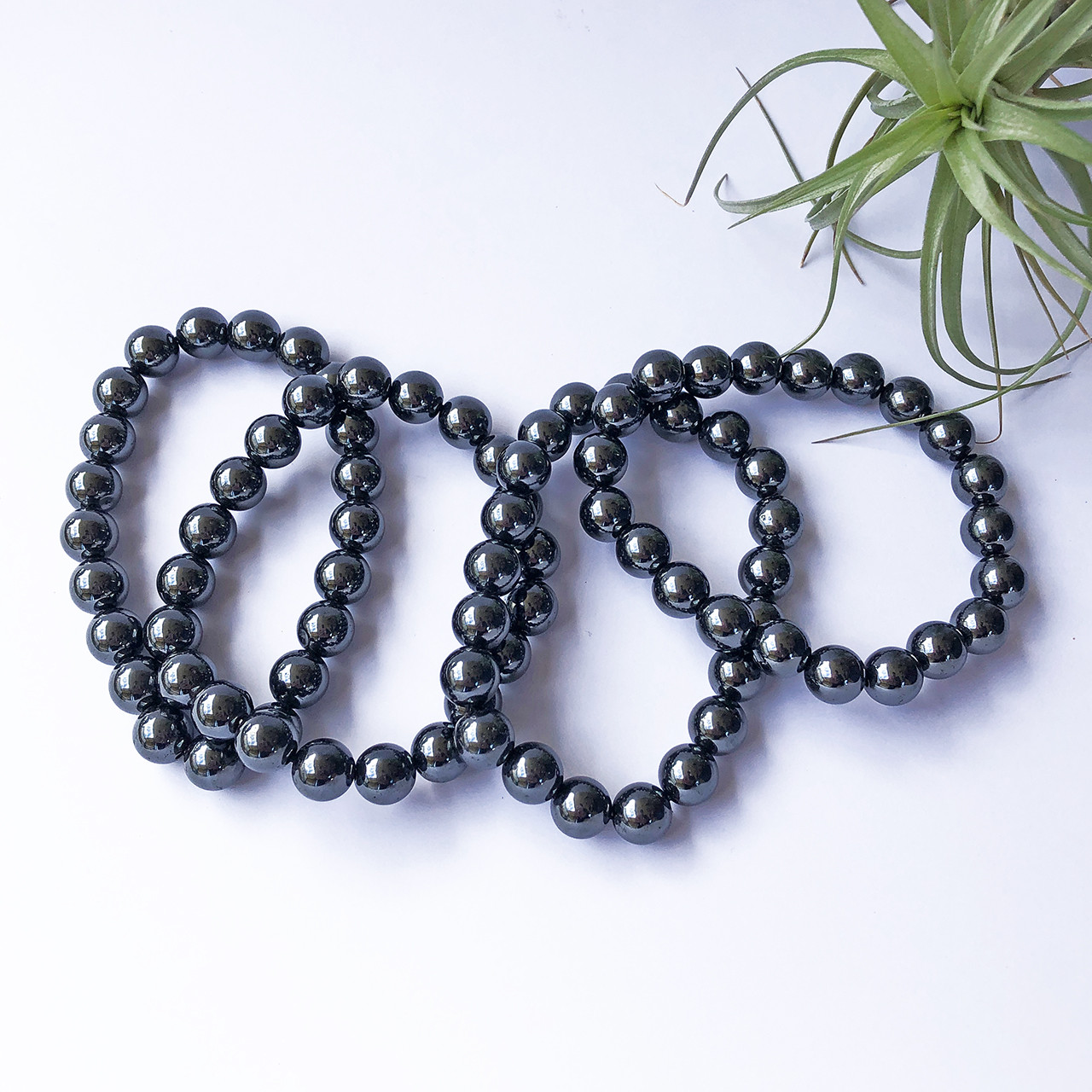 Hematite 10mm Bead Bracelets on white background with air plant